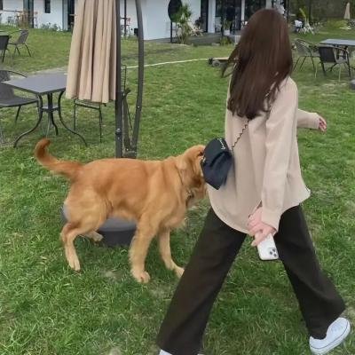 海伦夫人的冒险